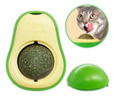 Abacate Catnip Erva Natural