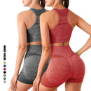 Conjunto Fitness Sem Costura Para Mulheres, Shorts de Ginástica
